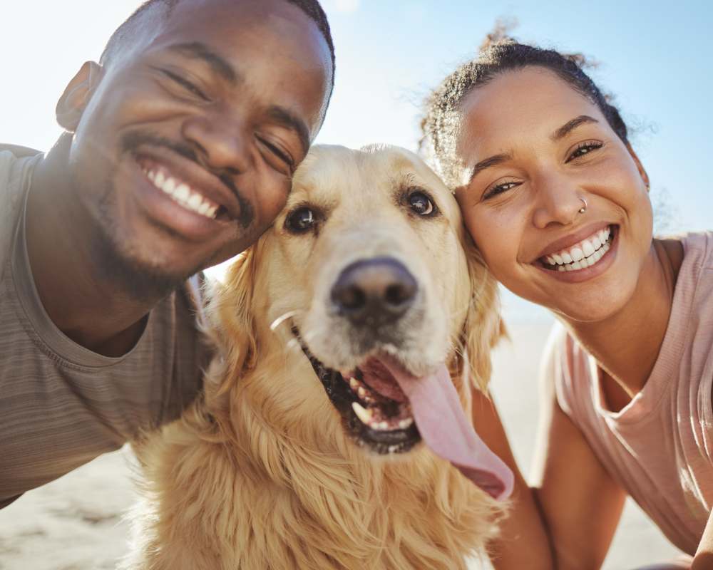 Couple hugging their dog at Helm in Everett, Washington