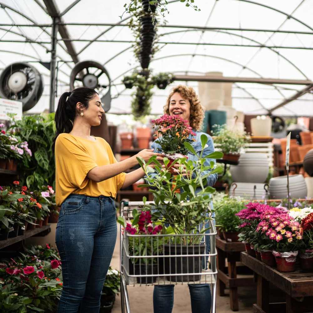 Two women exchanging potted flowers in a vibrant greenhouse filled with plants and gardening supplies near Riverwood Apartments in Wilmington, North Carolina
