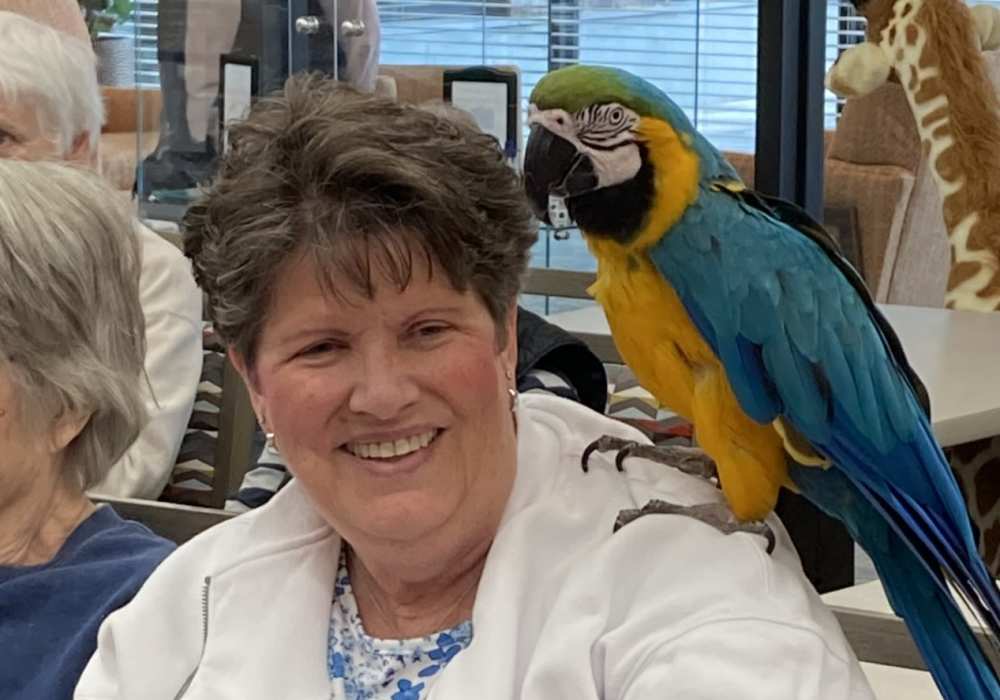Parrot on a resident's shoulder at Merrill Gardens at Wright Park in Tacoma, Washington