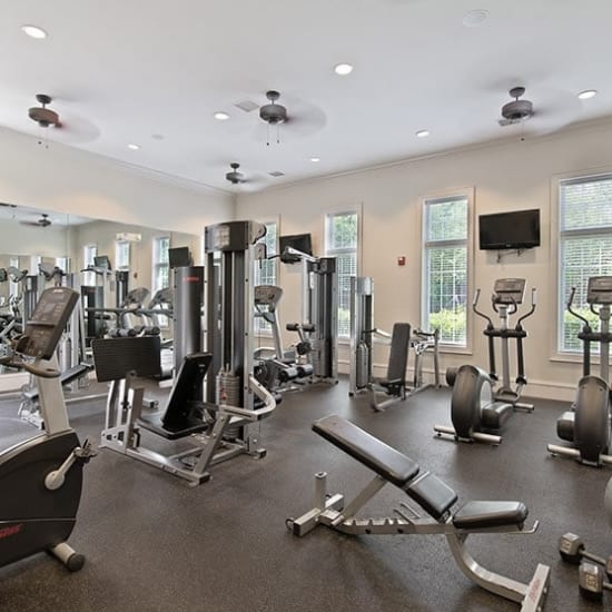 Well equipped fitness center atAvemore Apartment Homes in Charlottesville, Virginia