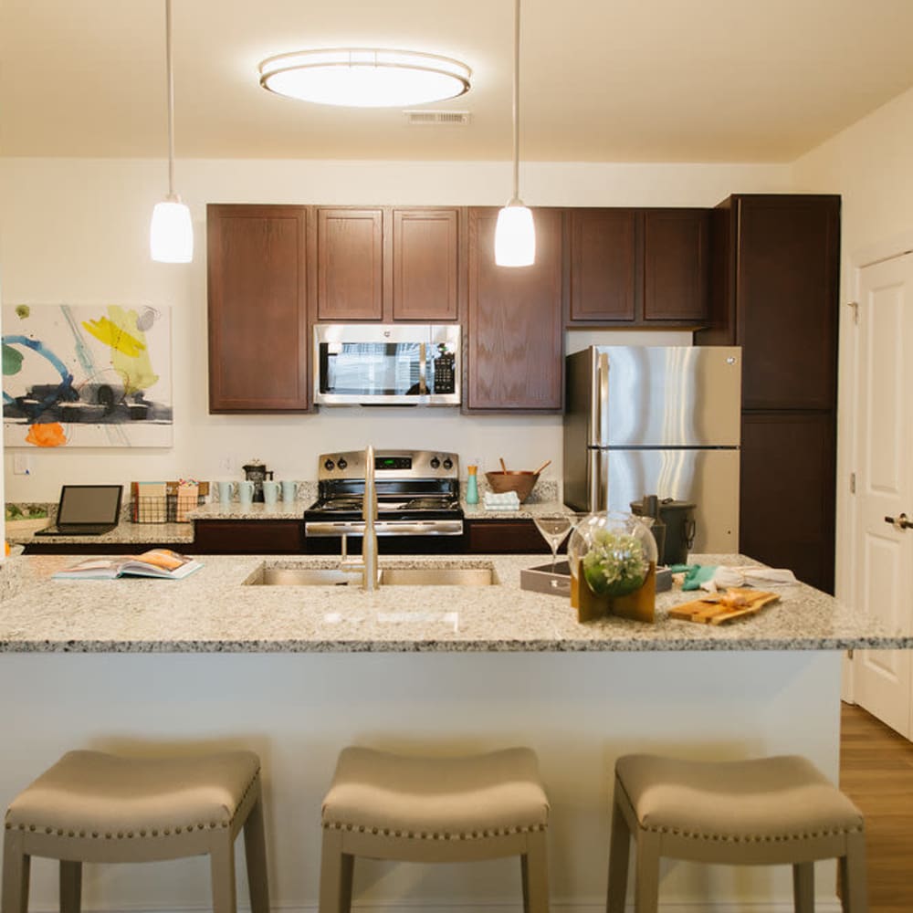 Kitchen with granite counters at Beacon on 5th in Charlottesville, Virginia