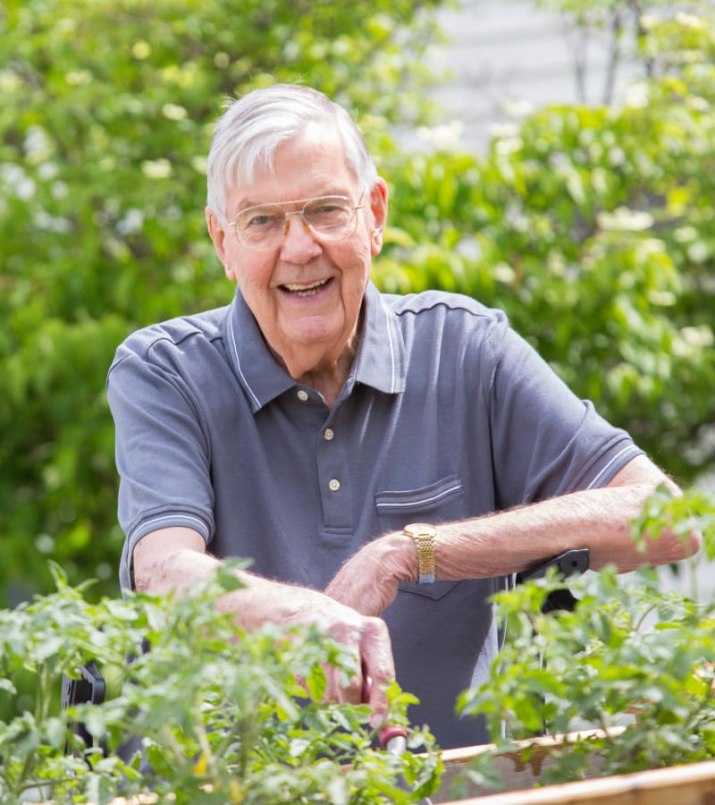 Resident Gardening outside at a Hearth Management community