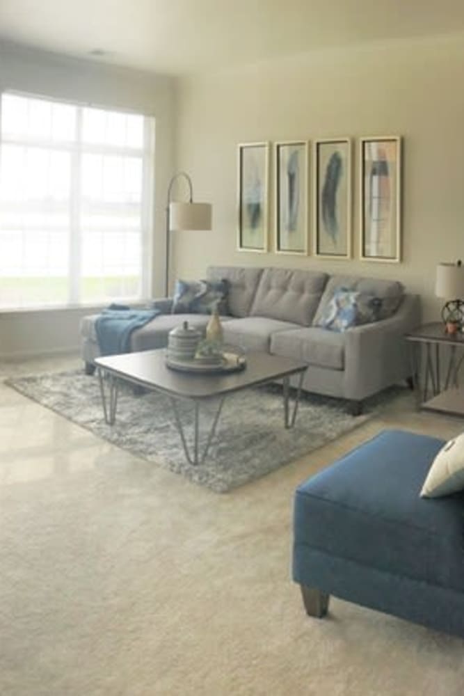 Furnished living space with plush carpeting at Lakeshore Apartment Homes in Evansville, Indiana