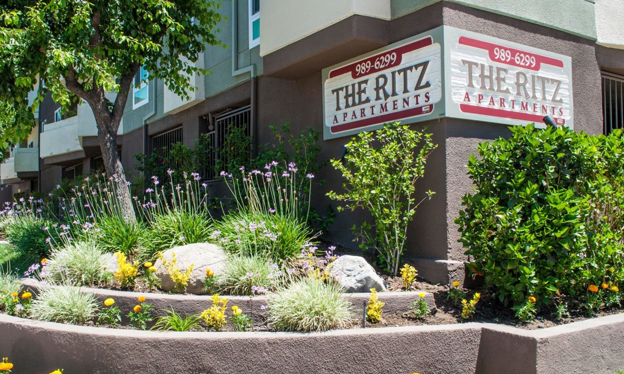 Apartments in Studio City, CA