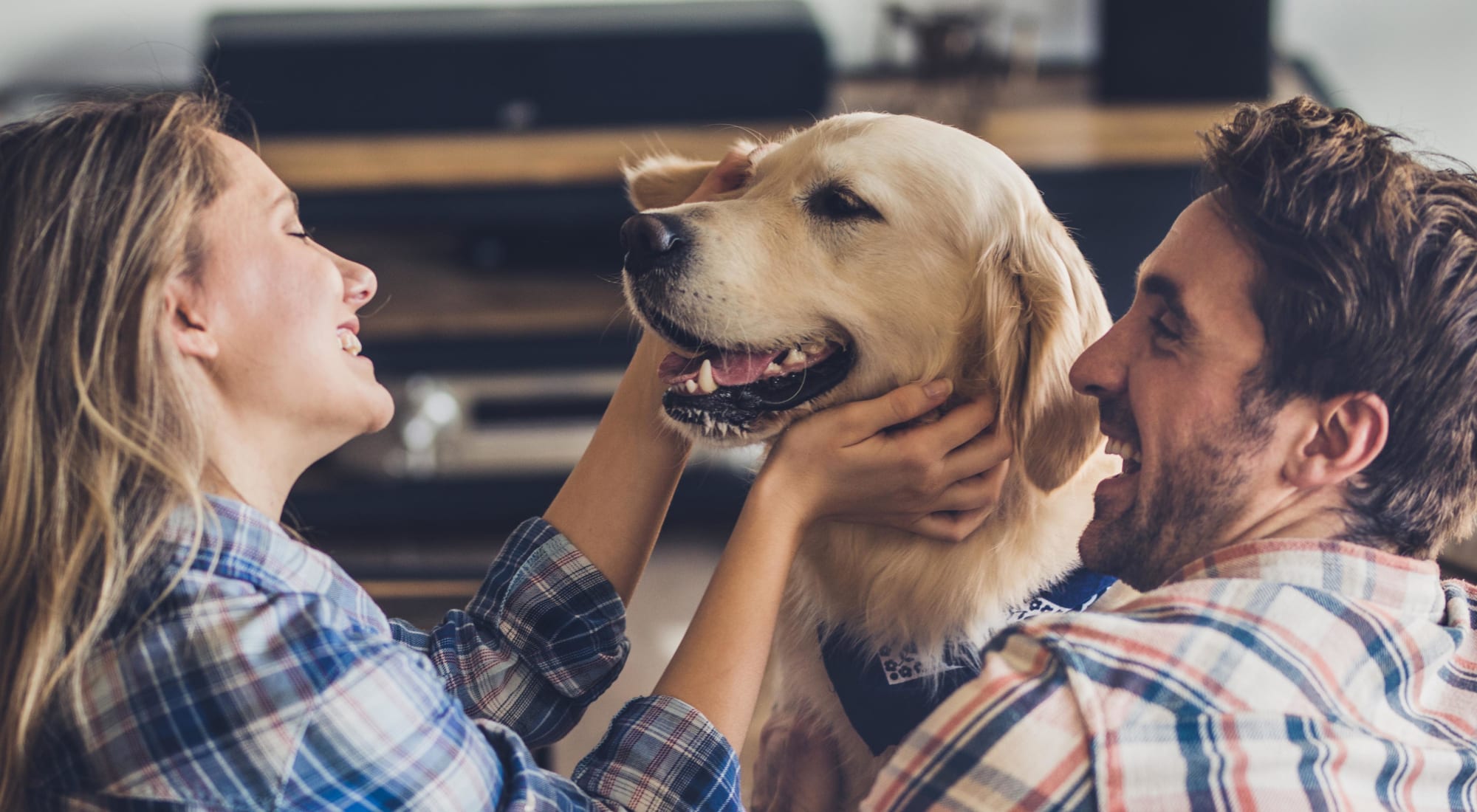 Pet-friendly apartments at Terra at Portola Park in Livermore, California