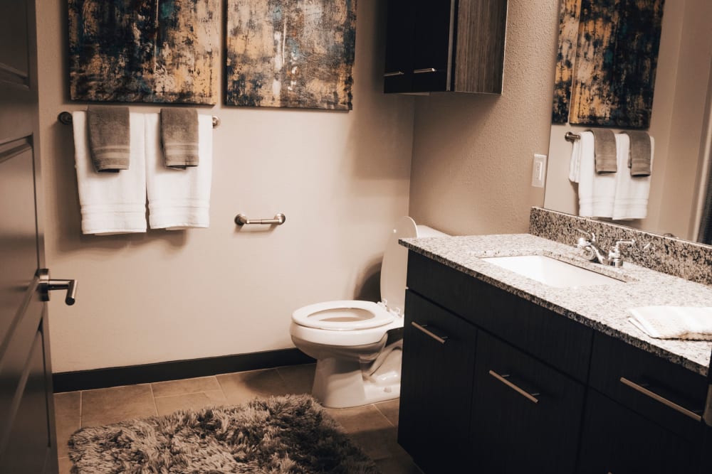 Bathroom with modern appliances at Terra at University North Park in Norman, Oklahoma
