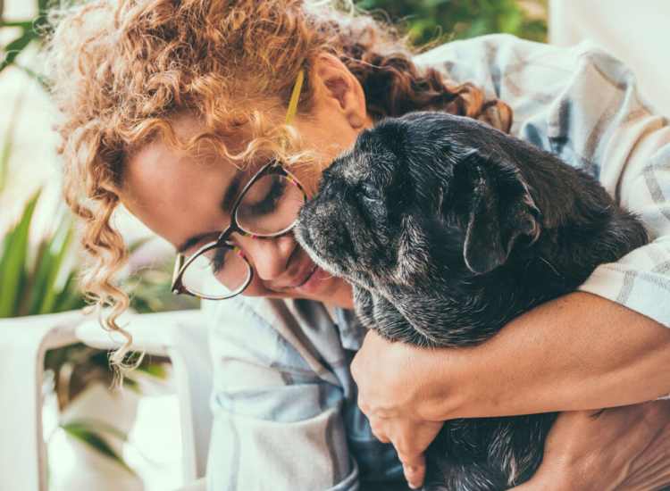 Pet-friendly at Tavernier Place in Acton. MA