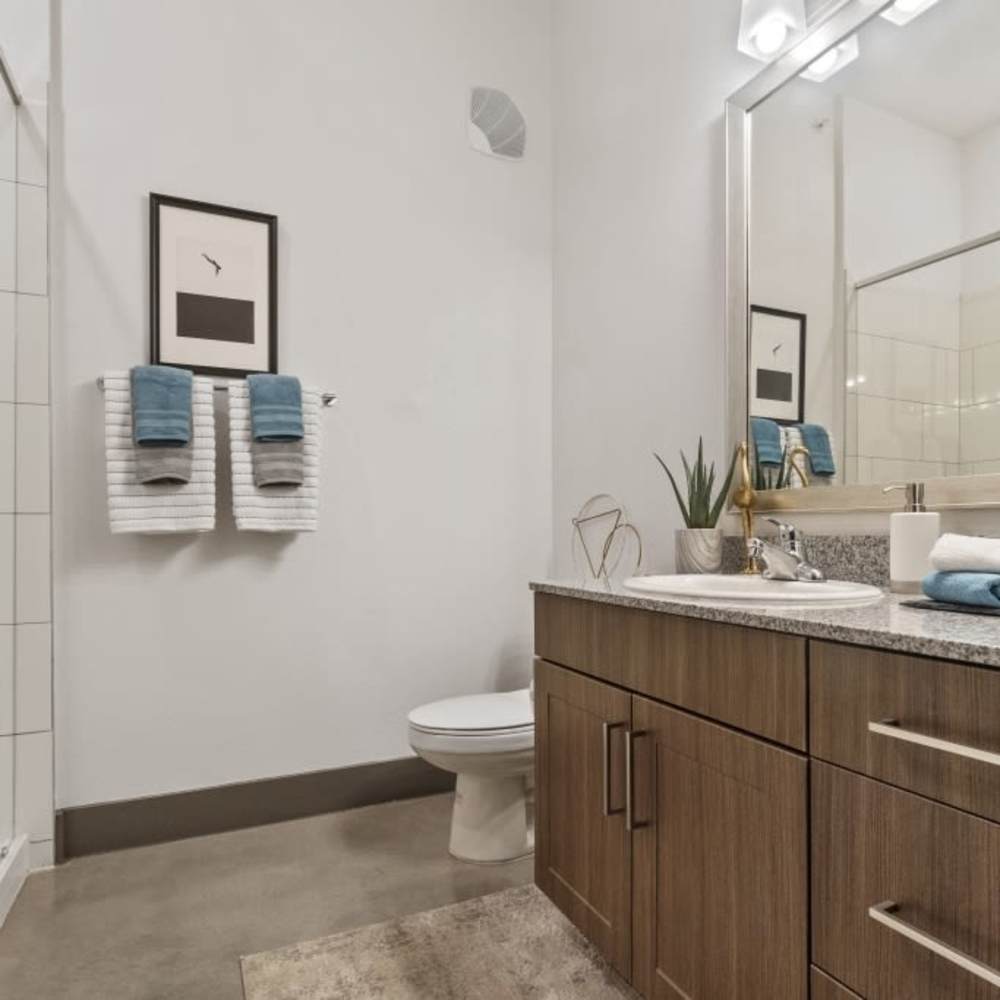 Bright bathroom with vanity light, mirror, sink, commoded and storage space at Millennium Place in Corinth, Texas