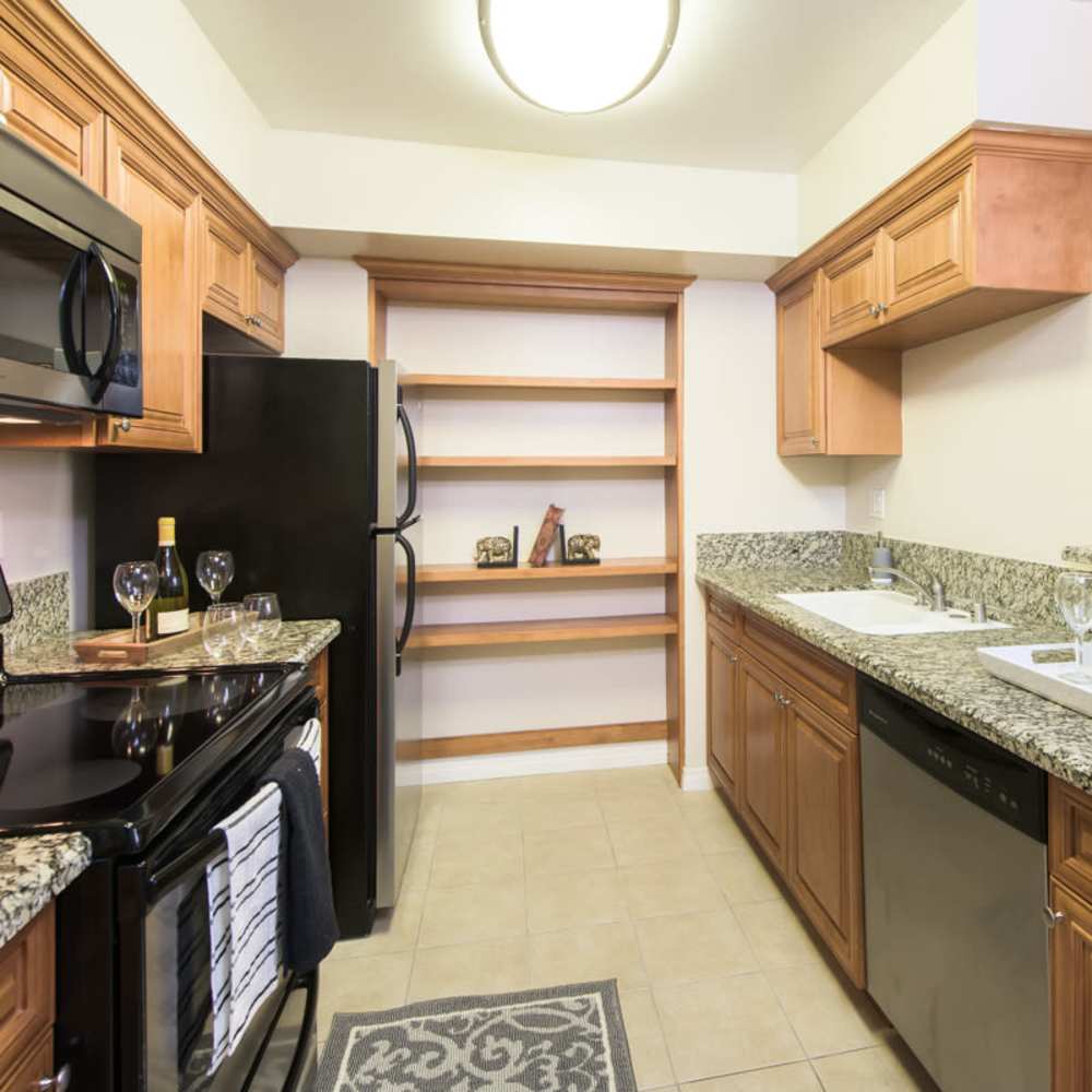 Modern kitchen with granite countertop at Santa Teresa Apartments in San Jose, California