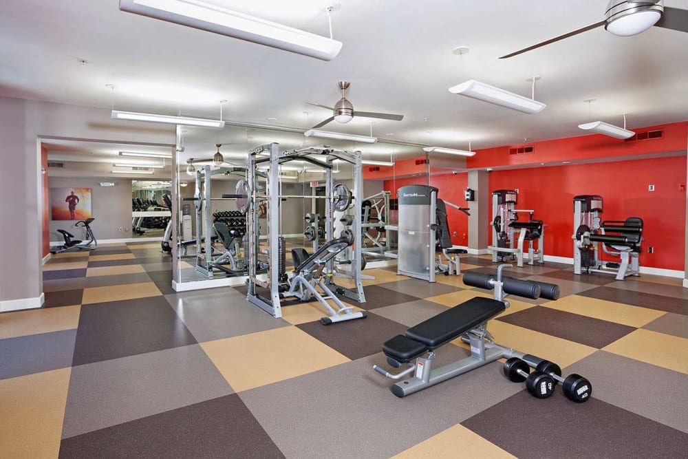 Fully-equipped fitness center at Cielo in Charlotte, North Carolina