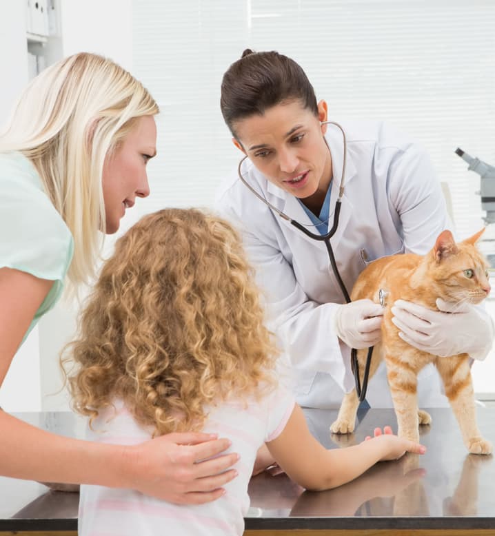 Managing your pet's health at Colorado Springs Animal Hospital