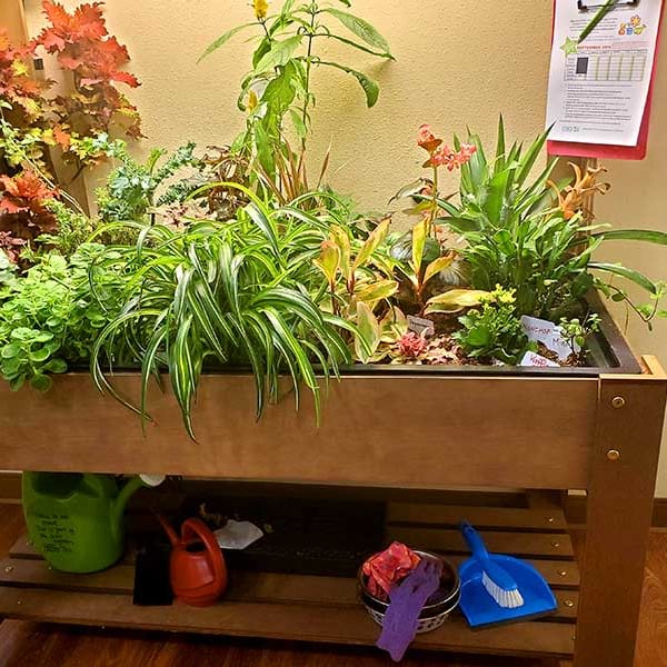 Indoor planter full of vibrant plant life at Quail Park of Lynnwood in Lynnwood, Washington