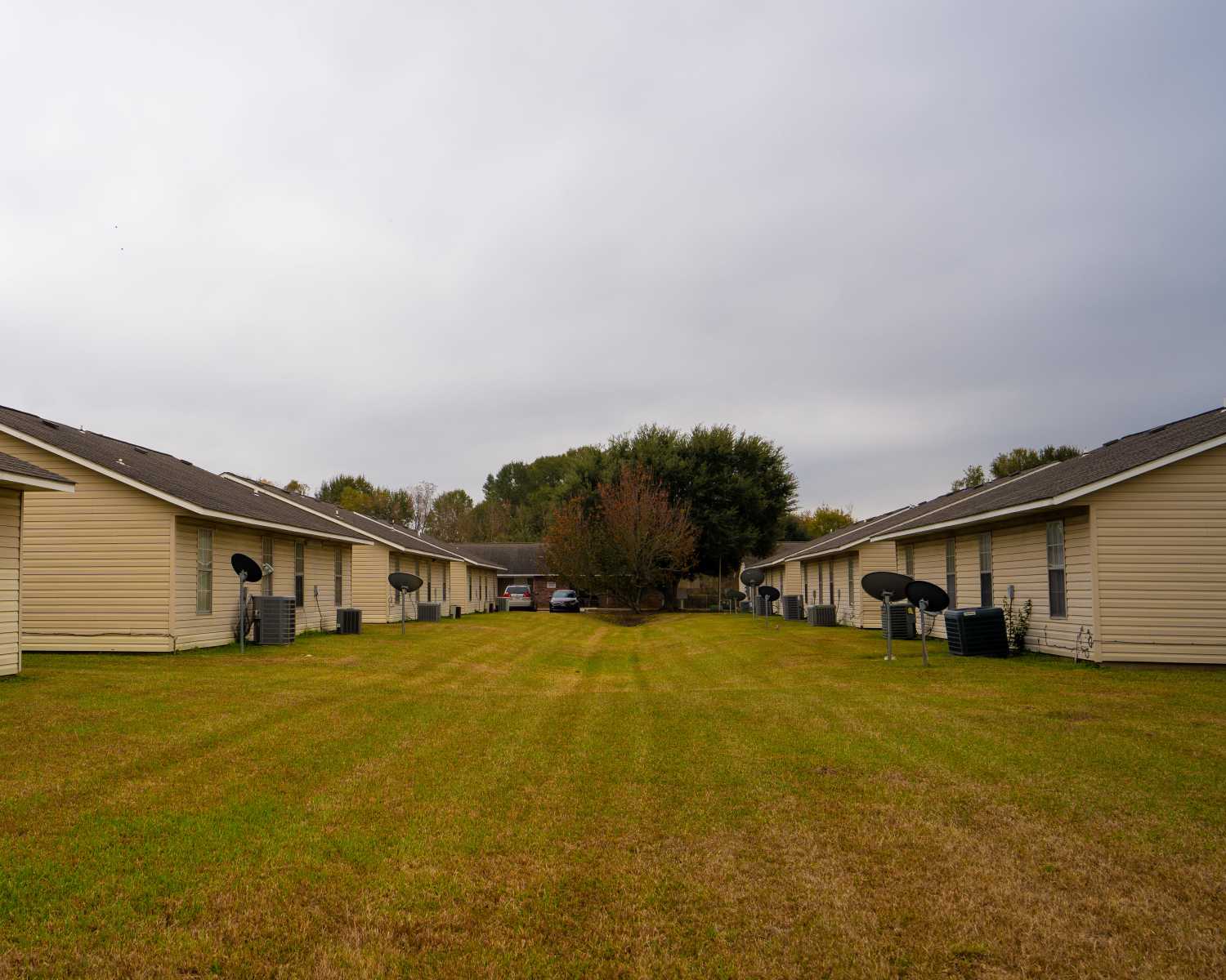 Apartments in Willowbrook II in Lafayette, Louisiana