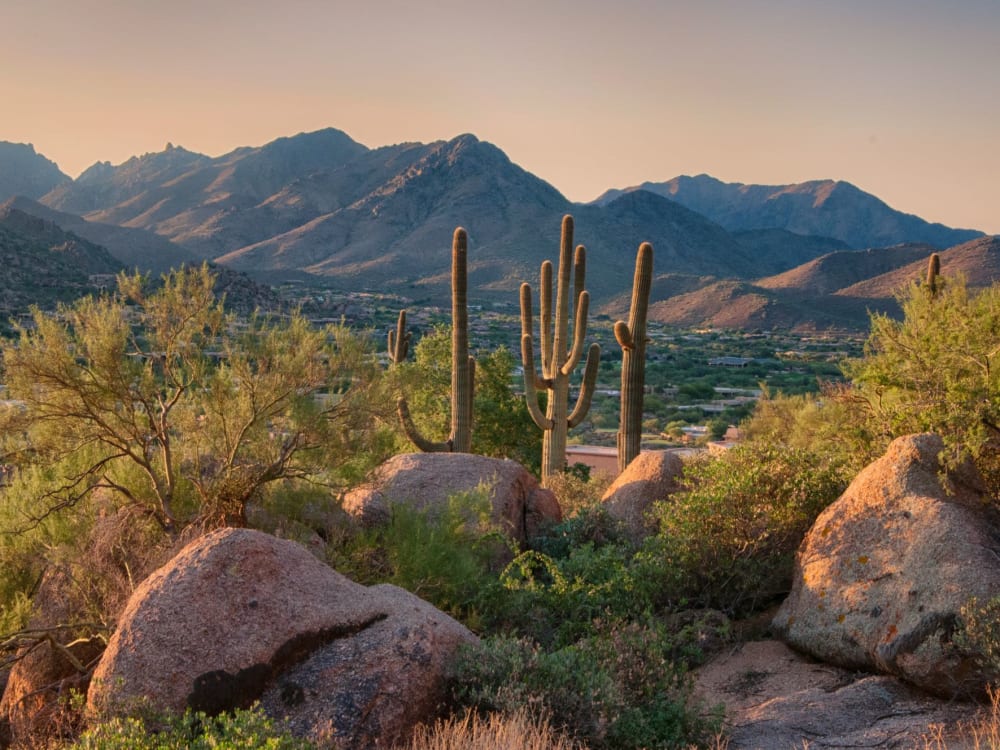 Incredible hiking and nature not far from your home at Elite North Scottsdale in Scottsdale, Arizona