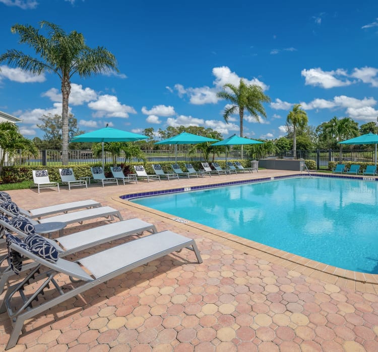 Picnic area with views of the lake at Verse at Royal Palm Beach in Royal Palm Beach, Florida
