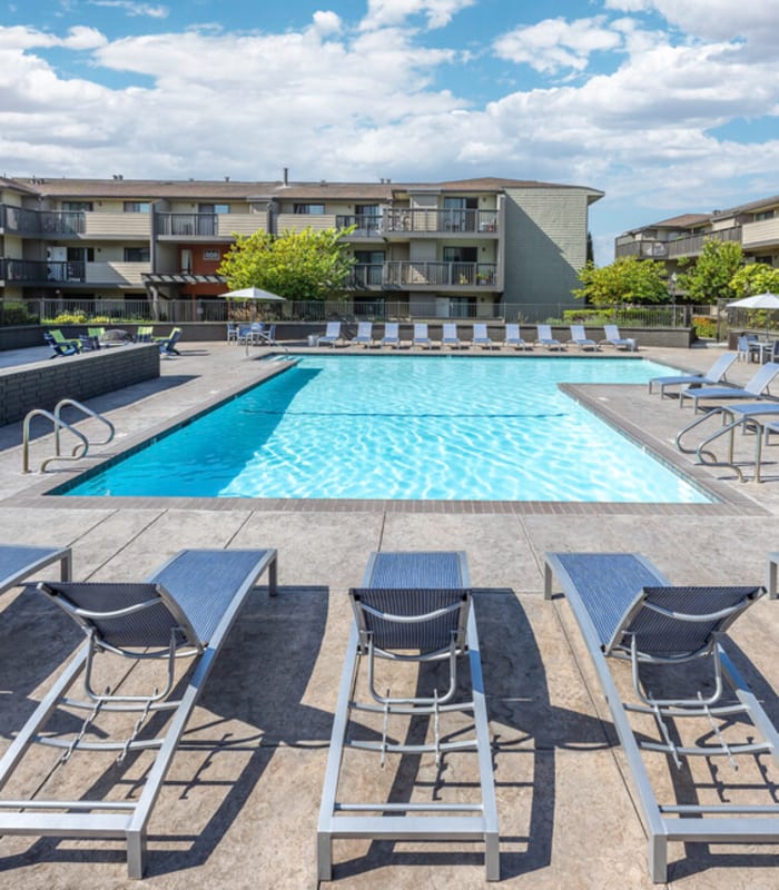 Swimming pool with lounge beds at Harbor Cove Apartments in Foster City, California