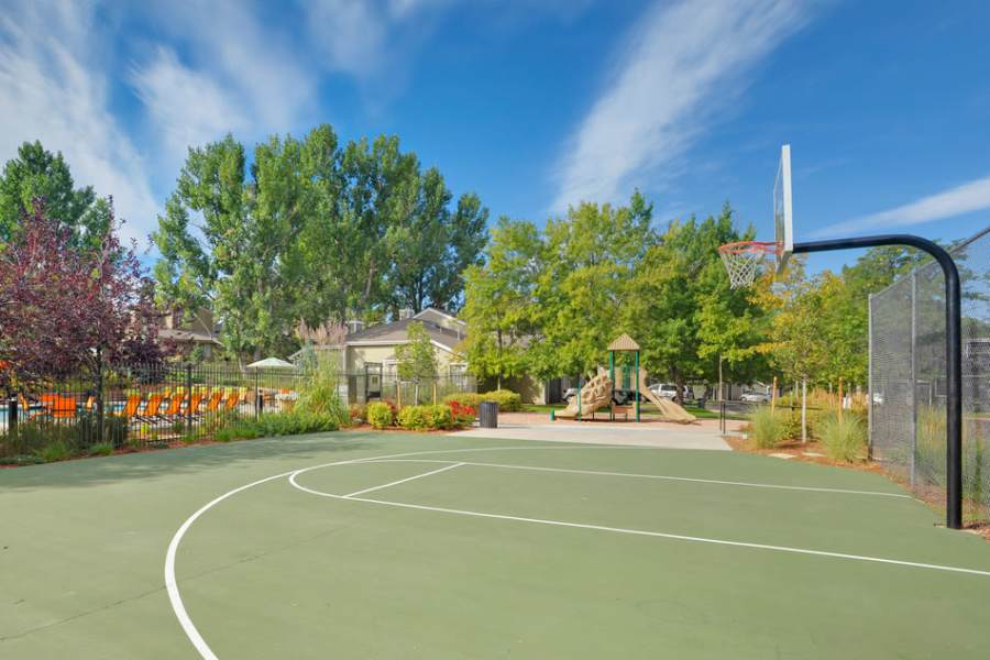 Basketball court at Environs Residential Rental Community in Westminster, Colorado