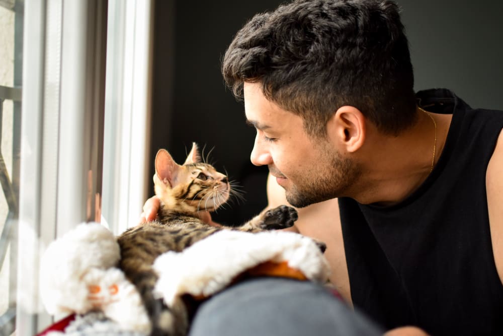 Resident looking at his cat at Icon at Corpus Christi in Corpus Christi, Texas