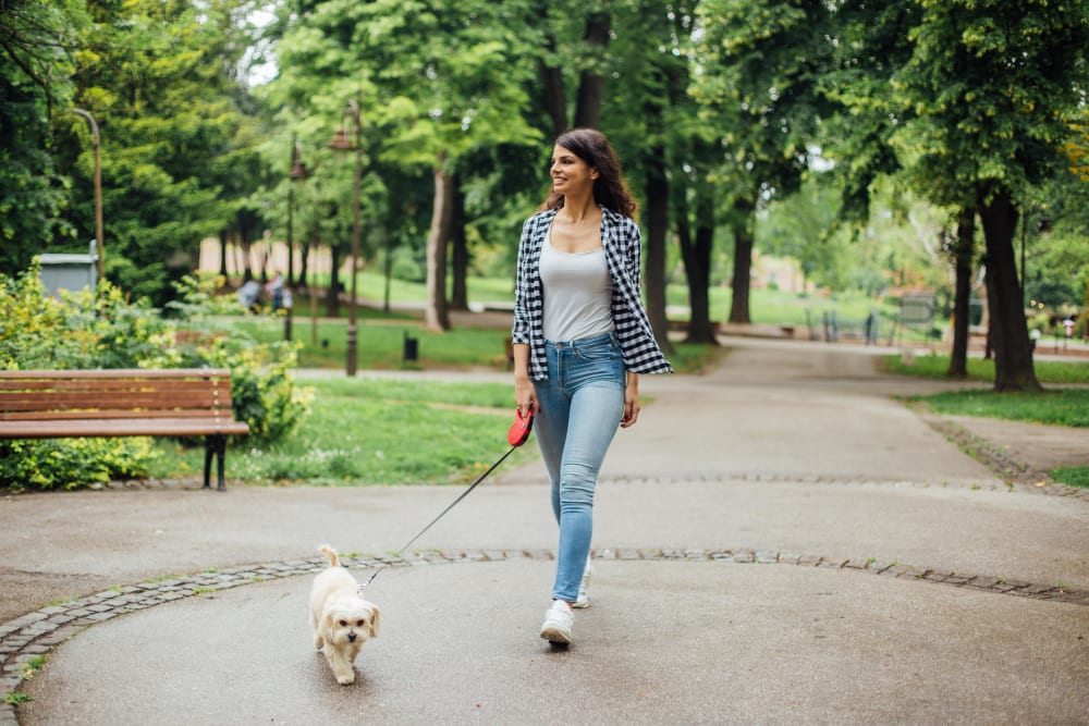 Woman walking her dog in the park near The 450 in Lombard, Illinois
