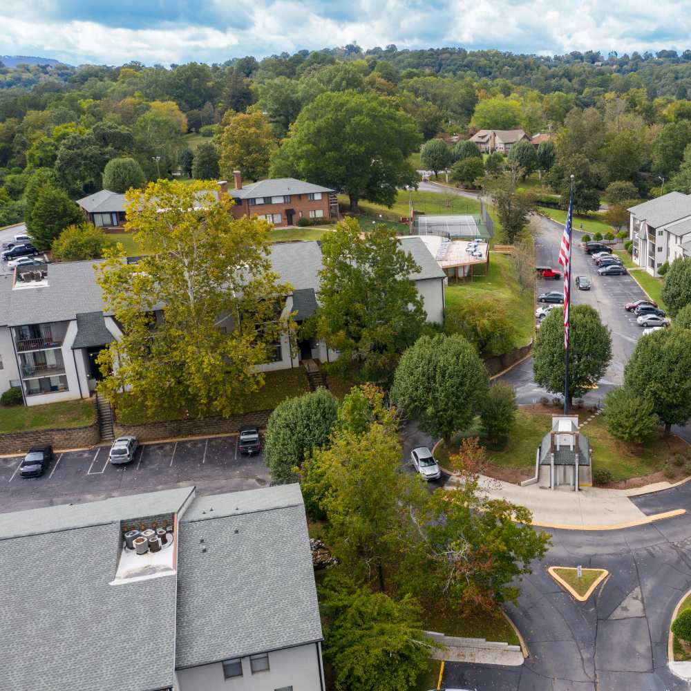 Community with trees all over at Germantown Gardens in East Ridge, Tennessee