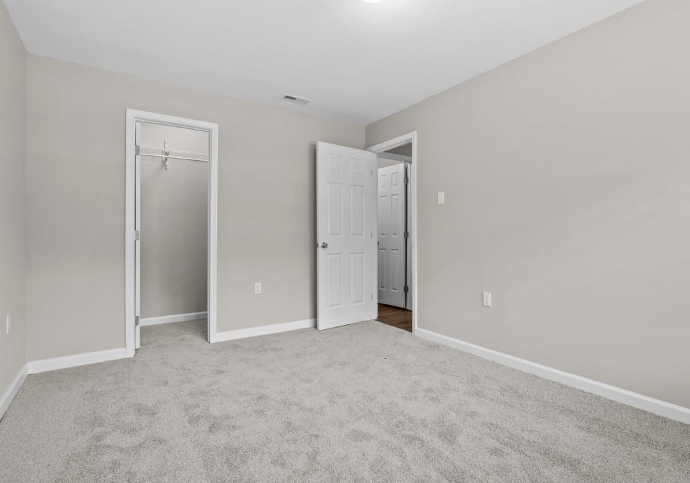 Hardwood Flooring at Lake Village Apartments in Chesapeake, Virginia