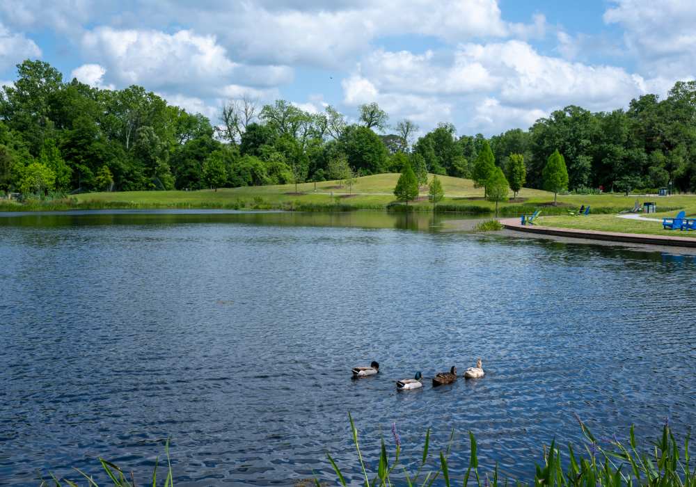 Park lake near Silo Creek Apartments in Lafayette, Louisiana