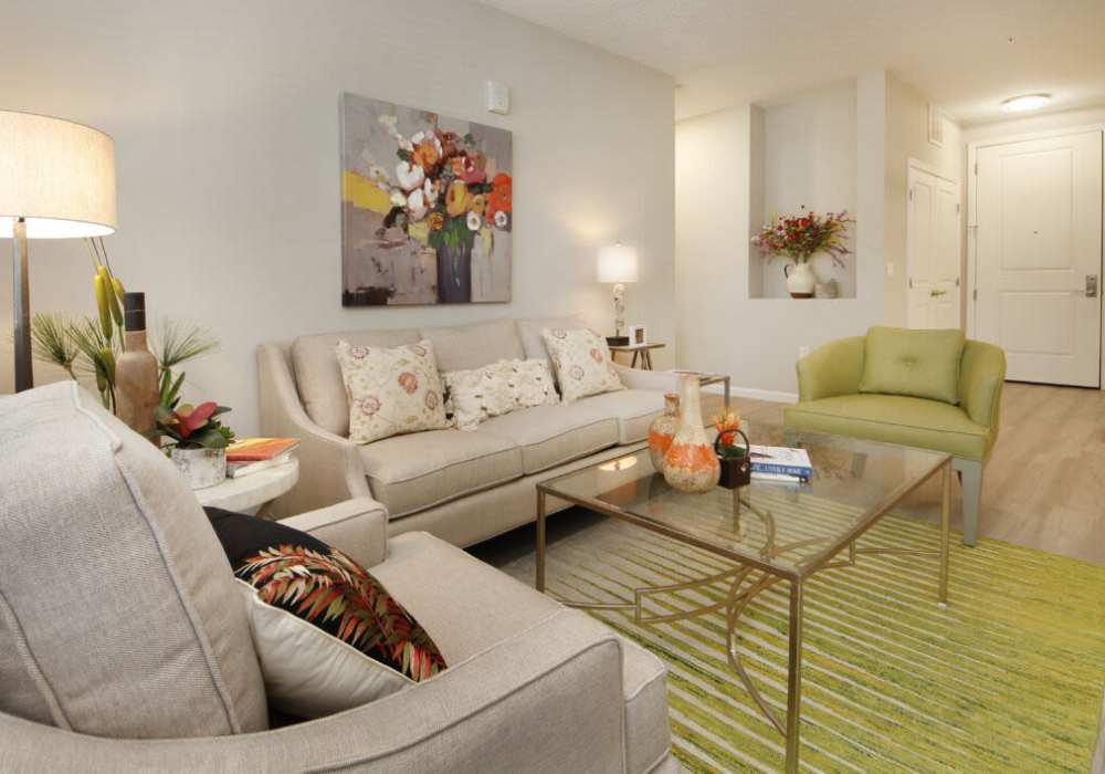 Modern living room with cozy seating and vibrant decor at Messina Luxury Apartments in New Smyrna Beach, Florida
