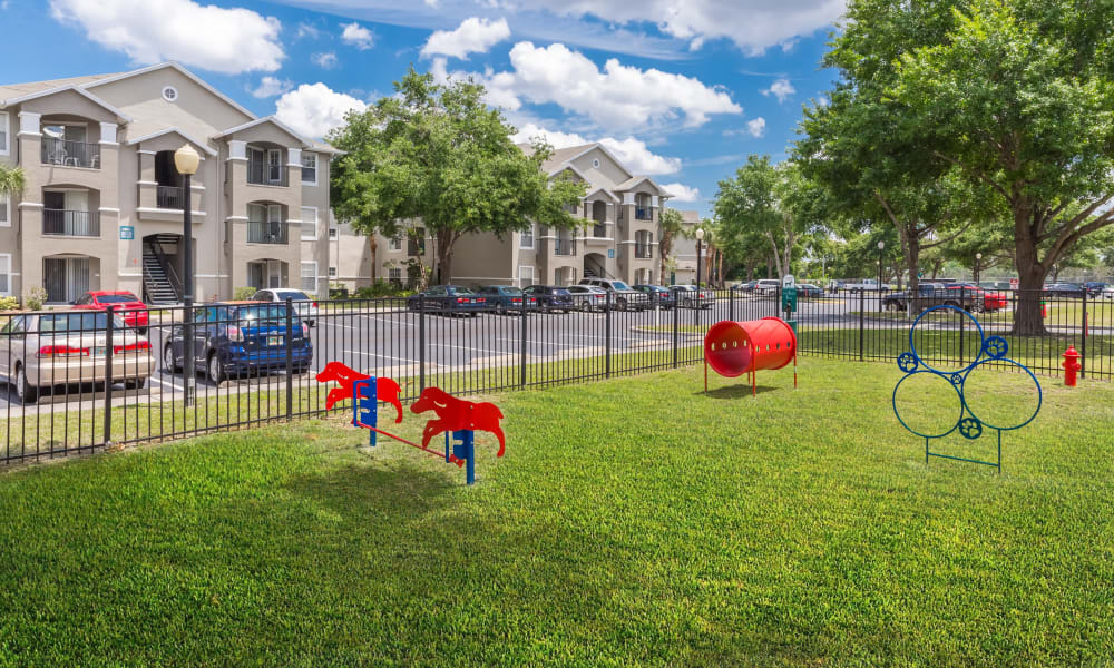 Awesome on-site dog park at The Avenue in Ocoee, Florida