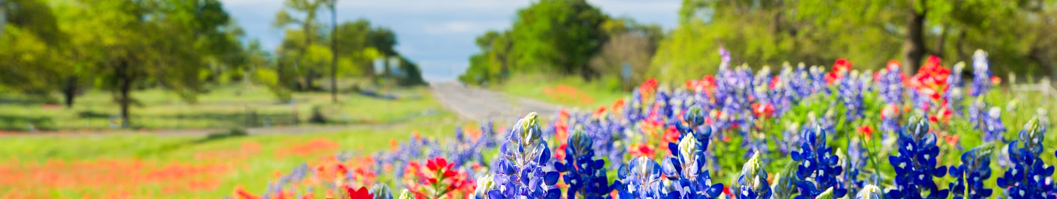Hours & directions at All Seasons Storage Centers in College Station, Texas