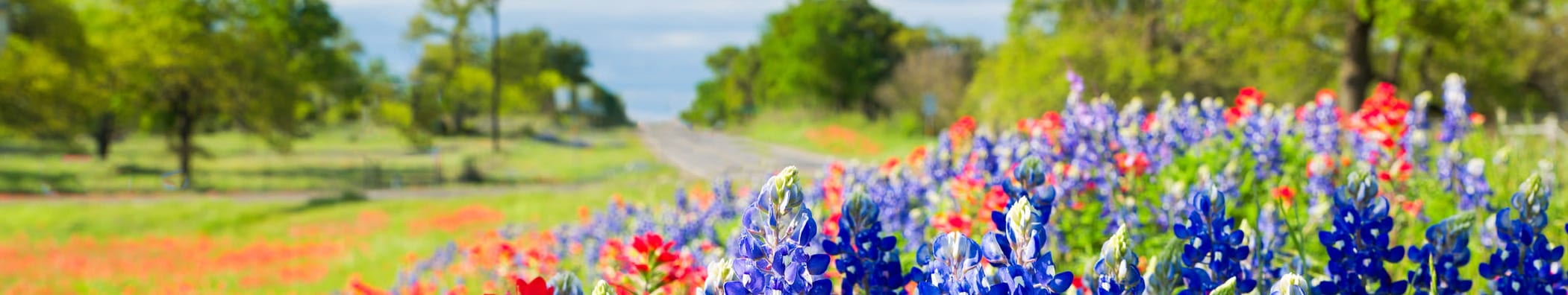  Hours & directions at All Seasons Storage Centers in College Station, Texas