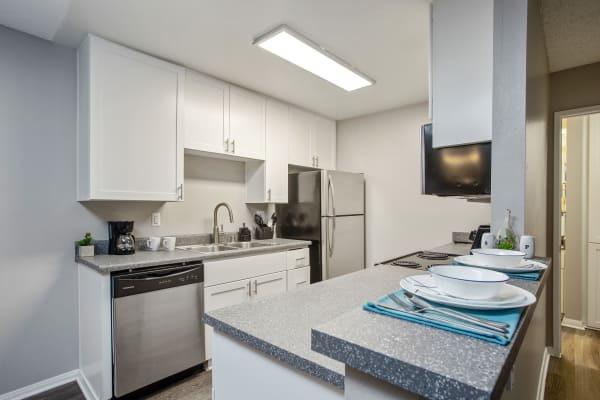 White Renovated Kitchen with Stainless Steel Appliances at Shadow Ridge Apartments in Oceanside