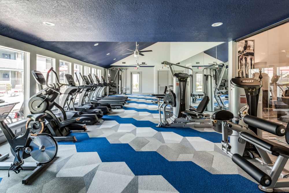 Well-equipped fitness center with exercise cycles and a treadmill at Warwick at Westchase in Houston, Texas