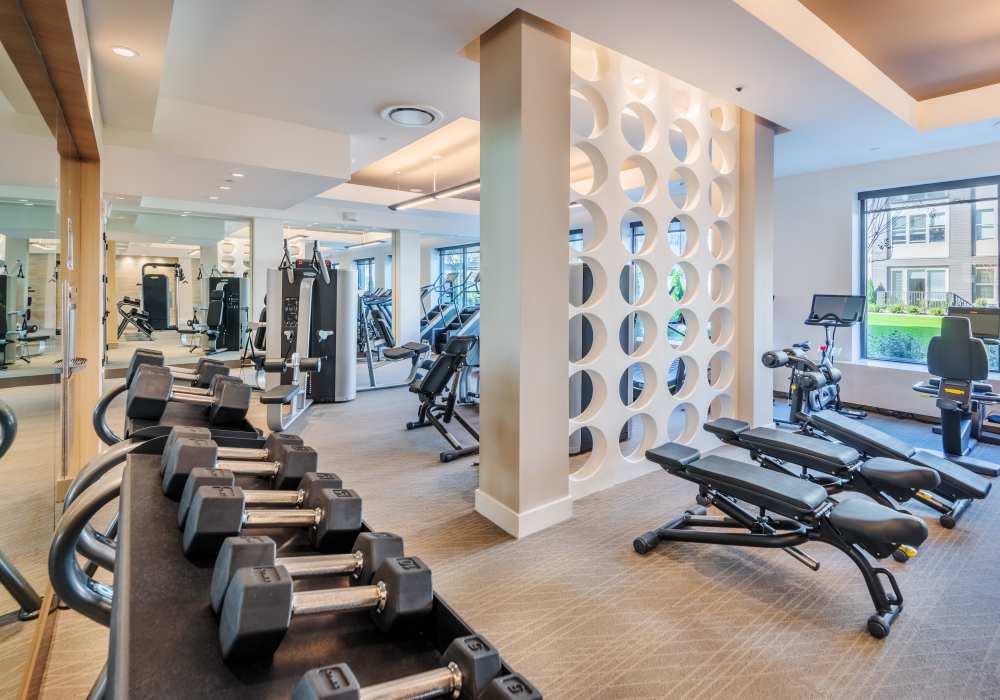 Resident working out in the gym at The Reverie at Lake Boone in Raleigh, North Carolina