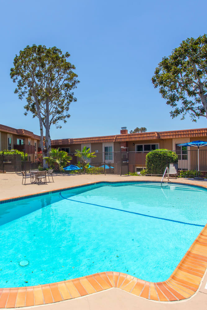 Pool area at Volterra at La Mesa in La Mesa, California