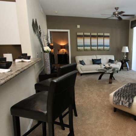 furnished living room at Palms at Wyndtree