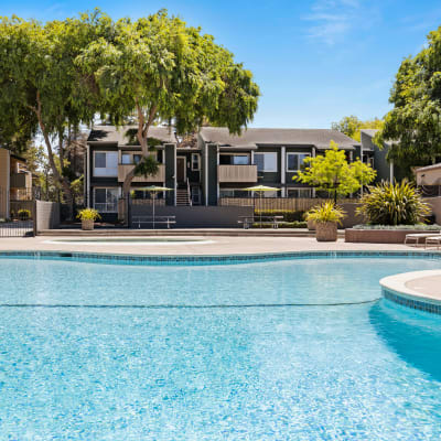 Large swimming pool on a sunny day at Bidwell Park Fremont in Fremont, California