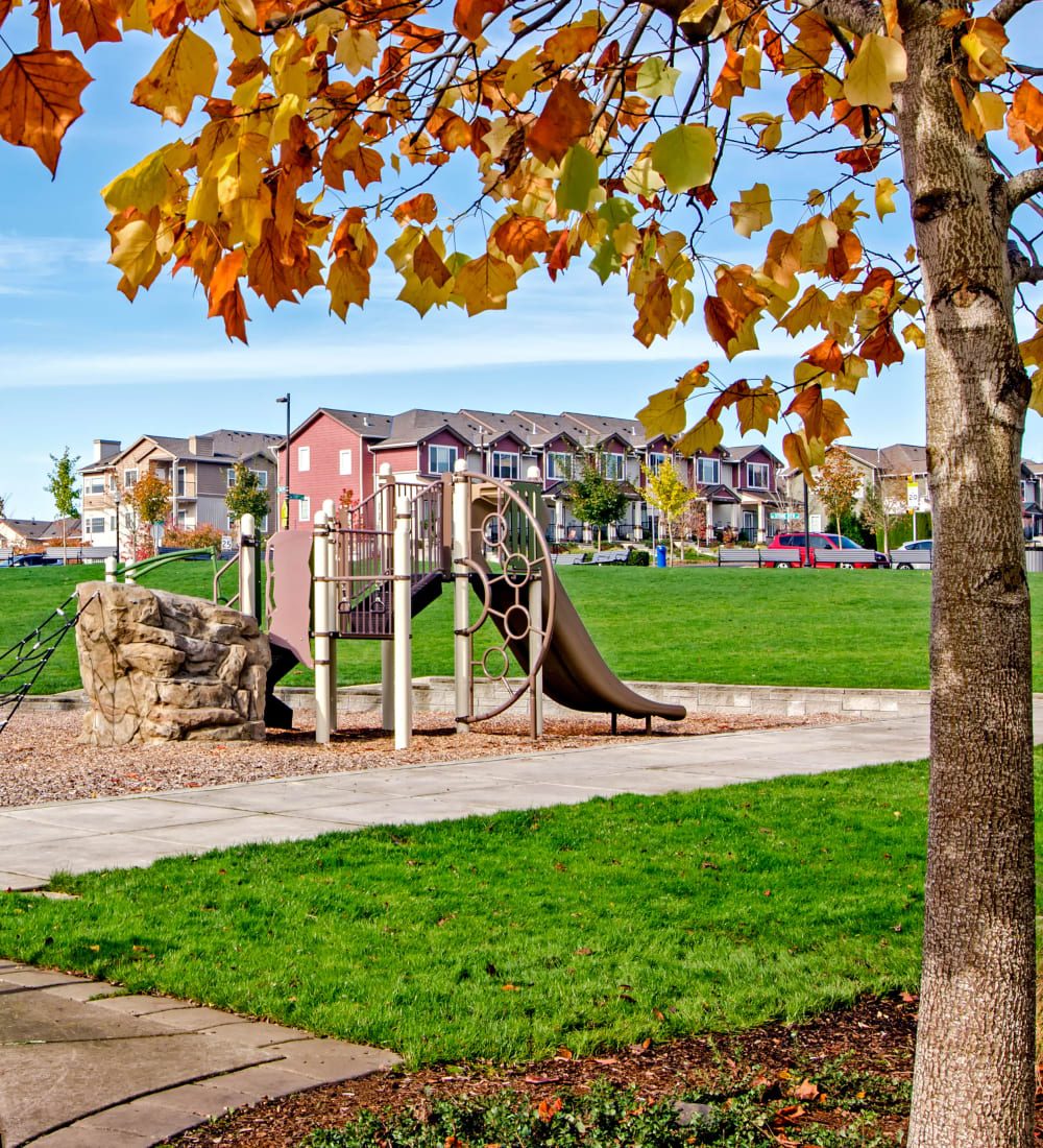 Swings and a play set at the onsite children's playground at Sofi at Cedar Mill in Portland, Oregon