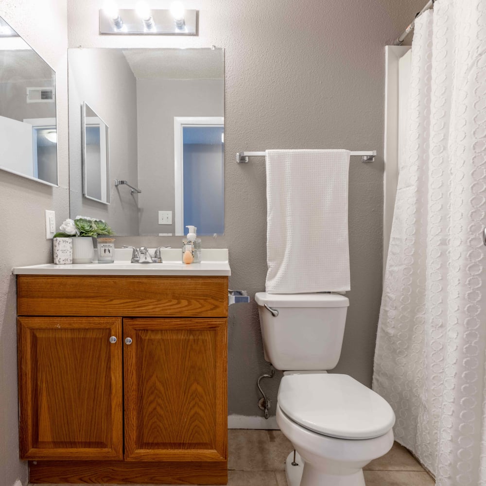 Bathroom at Dickinson Apartments in Springfield, Illinois