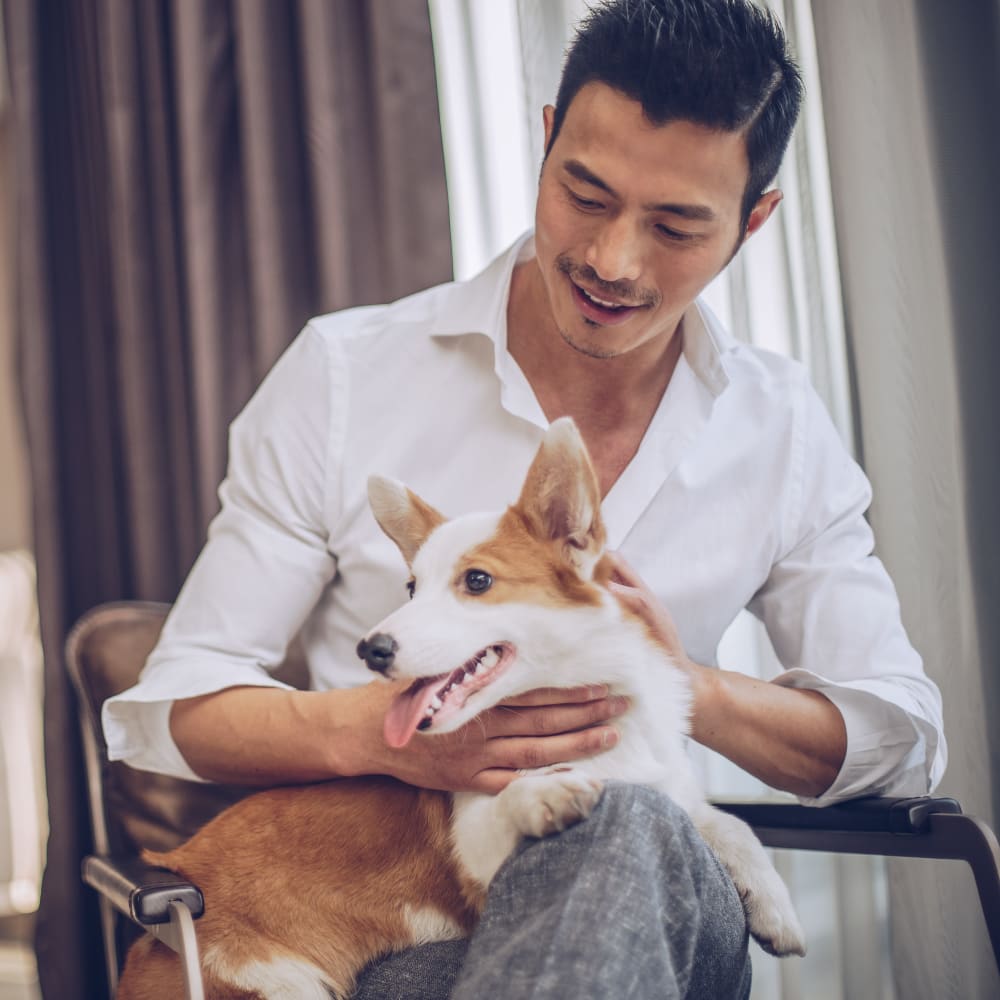 Dog sitting on his owner in their apartment at Cantabria at Turtle Creek in Dallas, Texas