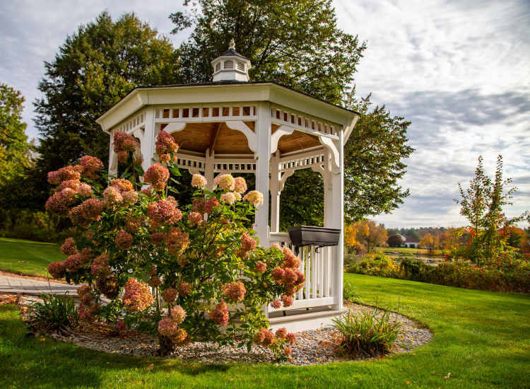 Beautiful view of mill pond at Mill Pond in Littleton, Massachusetts