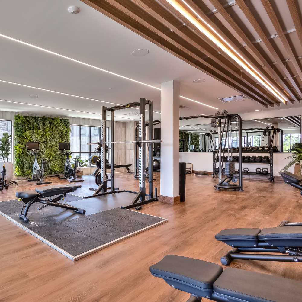 Modern gym with natural greenery and high-quality fitness equipment at Green|House Short North in Columbus, Ohio