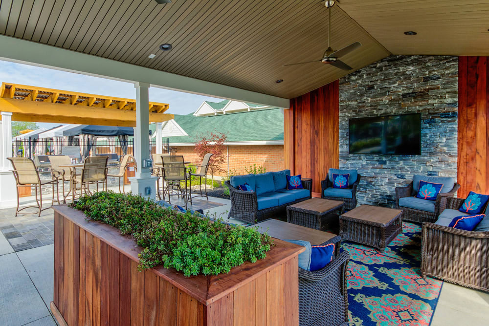 Relax near the pool in the lounge area at Aspen Pines Apartment Homes in Wilder, Kentucky