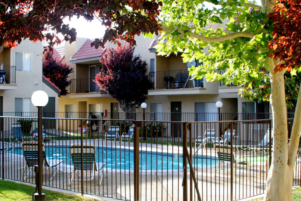 Mature trees near the swimming pool at Parkwood in Lancaster, California