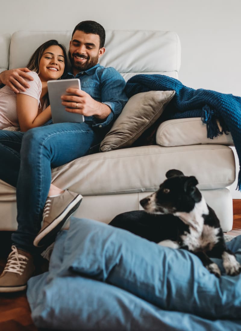 Two pets maximum per apartment at Marquis at Legacy in Plano, Texas