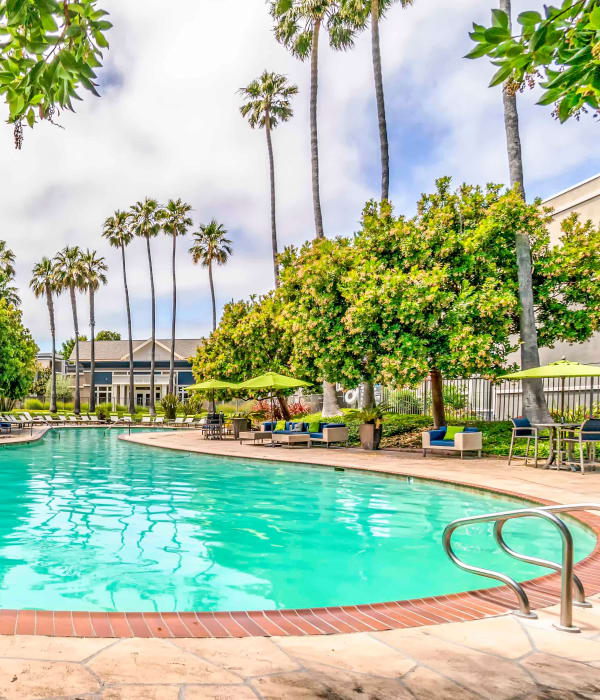 Gorgeous swimming pool area at Summer House Apartments in Alameda