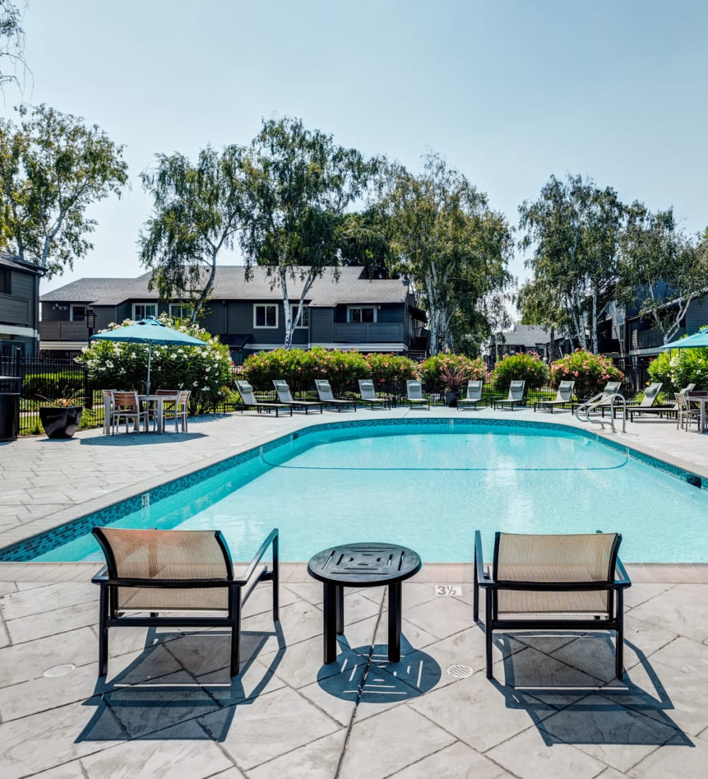 Another sunny day at the resort-style swimming pool at Sofi Union City in Union City, California