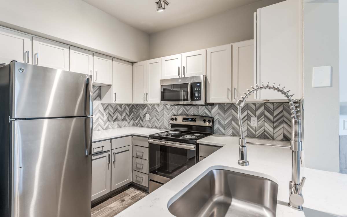 Alexander in Spring, Texas