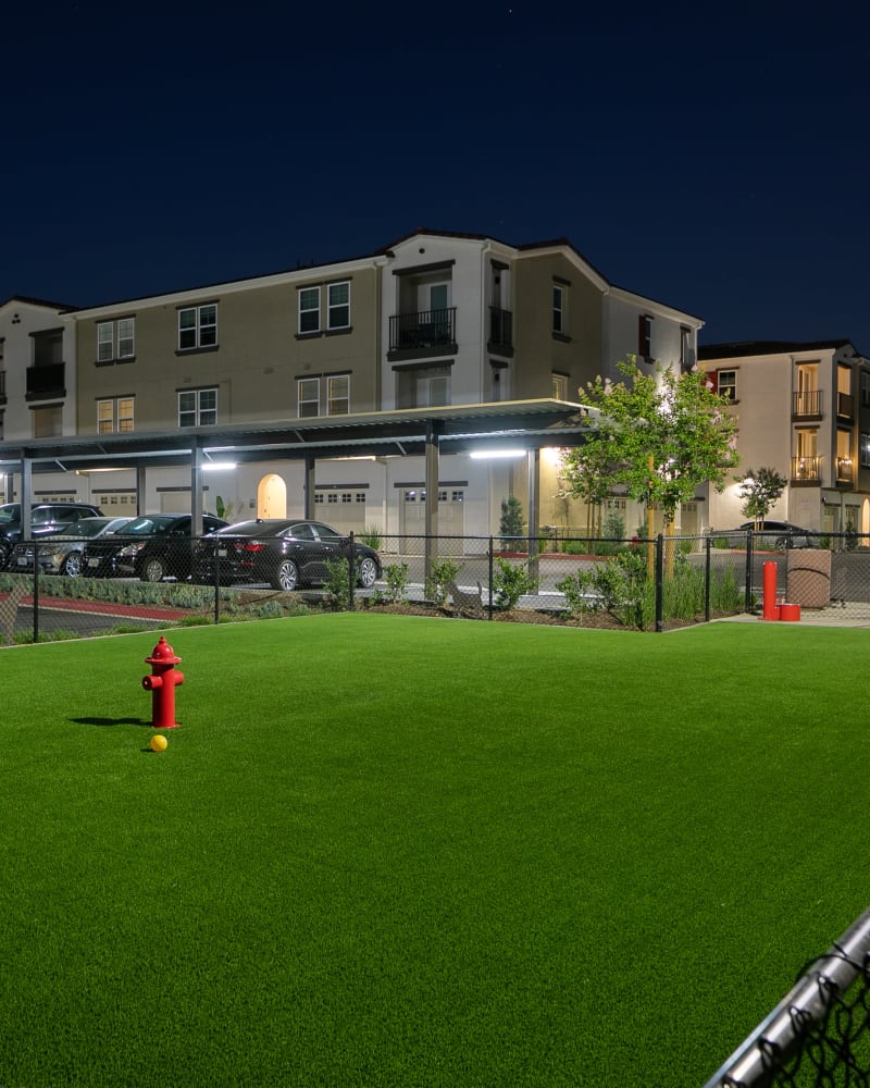 On-site dog park at Alivia Townhomes in Whittier, California