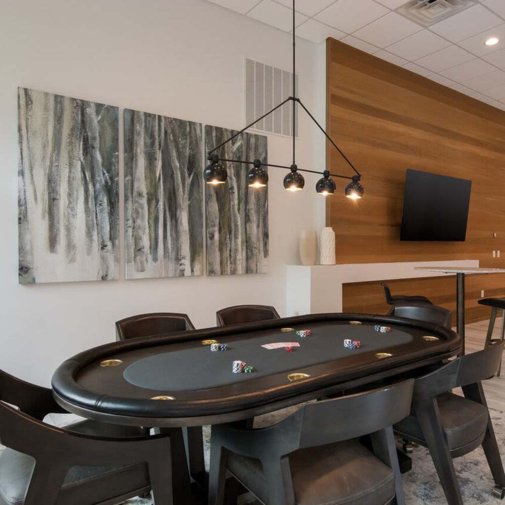 Game space at The Summit At Old Trail in Crozet, Virginia
