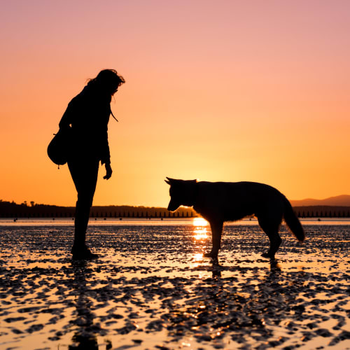 Resident enjoying the pet friendly community at Portside Ventura Harbor in Ventura, California